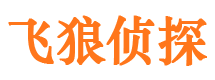 馆陶侦探公司